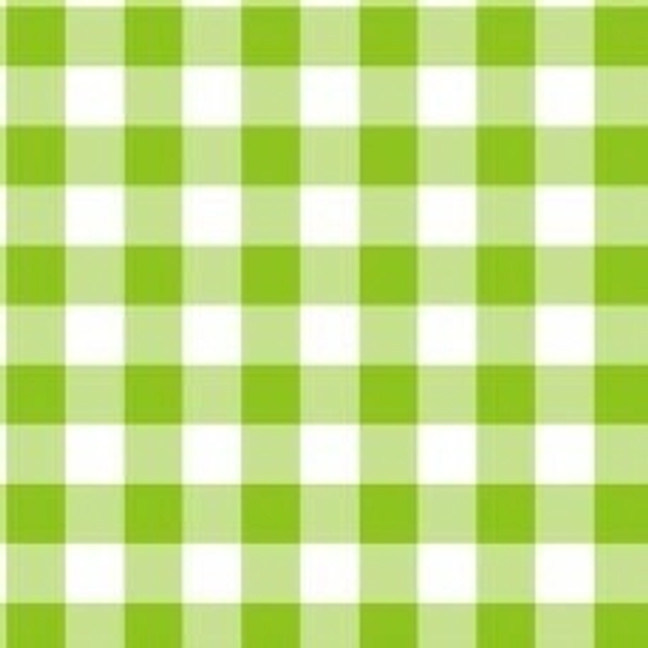 Lime Green Gingham Cross Stitch Fabric