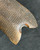 Good WWII Mauser Luger P.08 Grips Serial #90