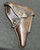 Very Good 1939 A. Fischer Guttstadt Berlin Germany Made P.08 Military Luger Holster - Chocolate Brown