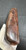 Very Good 1939 A. Fischer Guttstadt Berlin Germany Made P.08 Military Luger Holster - Chocolate Brown