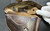 Very Good 1939 A. Fischer Guttstadt Berlin Germany Made P.08 Military Luger Holster - Chocolate Brown