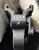 Excellent & Awesome- Top Collector Condition- Mauser byf 41 P.08 Luger, Serial Number 8207 t
