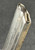 Very Good 1936 Mauser S/42 Luger P.08 Magazine 6223 “h” block Droop 63 Accepted