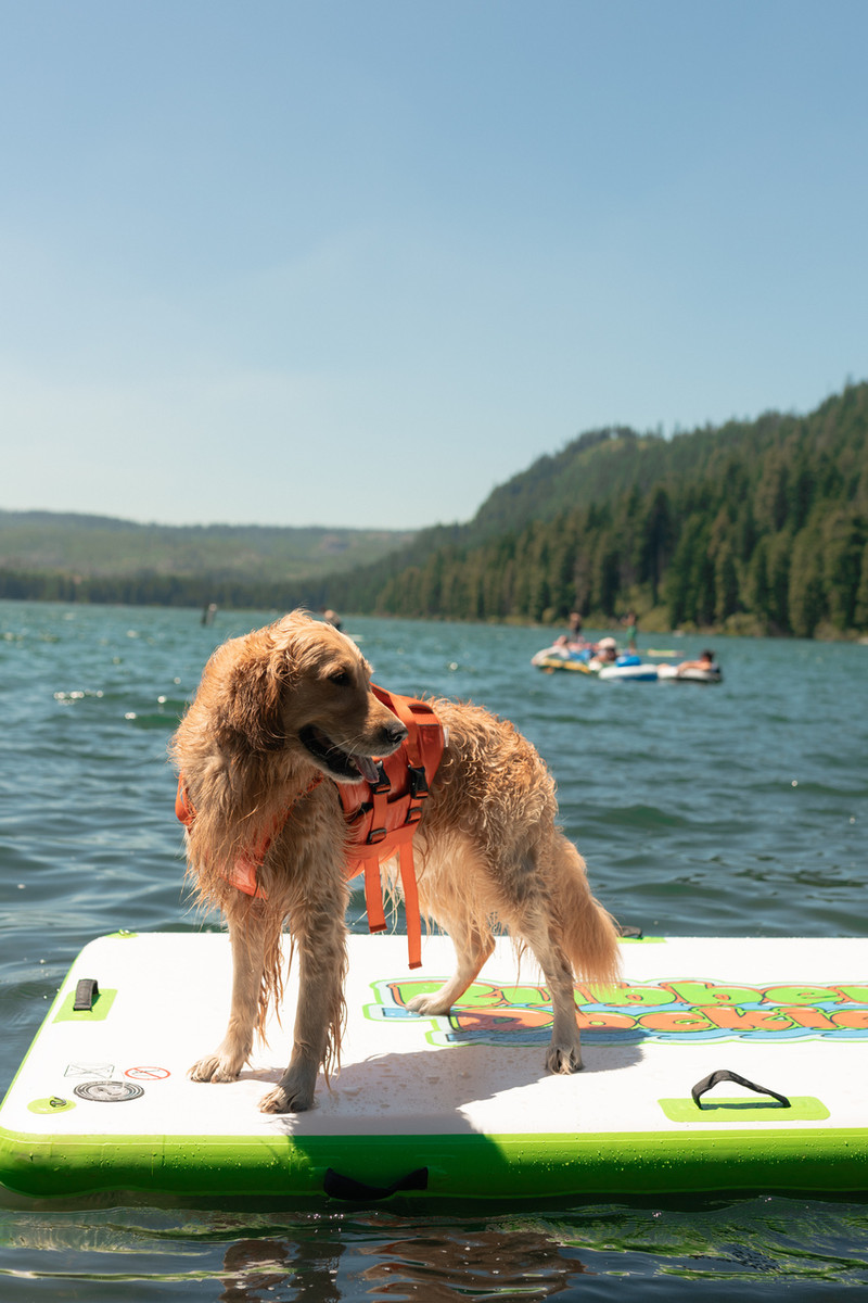 Rubber Dockie Big 85 Inflatable Floating Swim Platform