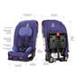 Radian® 3R® Dimensions [Purple Wildberry]