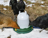 This poultry drinker heater keeps drinkers unfrozen up to -20 degrees F.