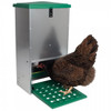 Automatic Chicken Feeder