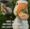 Scratch and Peck Feeds® Organic Layer Pellets 16%