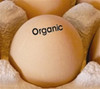 organic egg stamp example photo with black ink