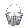 Blue Plastic Coated Wire Egg Basket for collecting eggs from backyard chickens