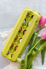 Lime Green Tinted Carton lifestyle image view style