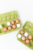 Lime Tint 12-Egg View Style Paper-Pulp Colored Carton