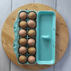Blank 12 Egg Styrofoam Egg Carton in green - filled with eggs