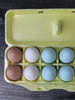 Blank 12 Egg Styrofoam Egg Carton in yellow - open with eggs