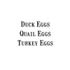 Duck eggs
Quail Eggs
Turkey Eggs