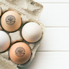 good morning sunburst egg stamp lifestyle image