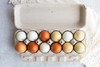 Horizontal open blank 12-Egg Flattop Style Paper-Pulp Carton filled with multi-color farm fresh eggs