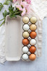 Vertical open blank 12-Egg Flattop Style Paper-Pulp Carton filled with multi-color farm fresh eggs