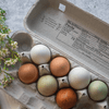 lifestyle image of open paper pulp egg carton filled with multicolor rainbow eggs