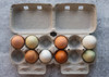 Top view of two open brown paper pulp cartons filled with multicolored eggs.