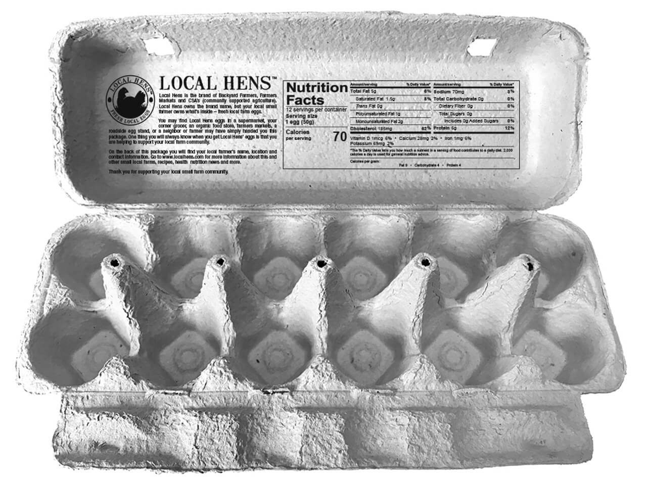 Local Hens Grade A Large Printed Paper-Pulp 12 Egg Cartons