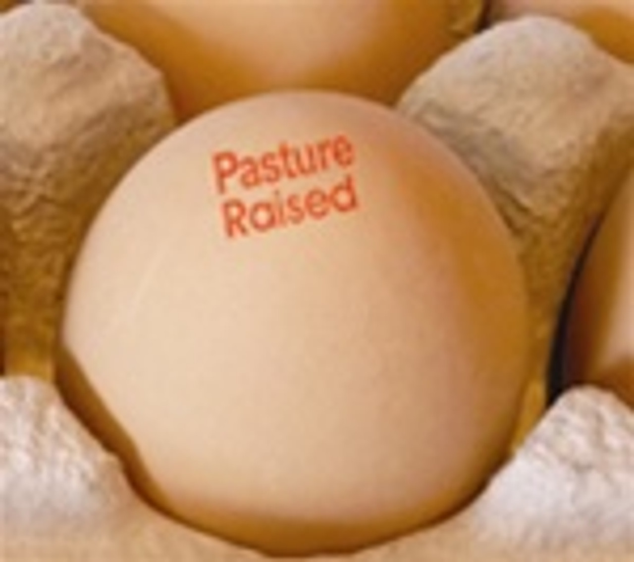 Pasture Raised Egg Stamp