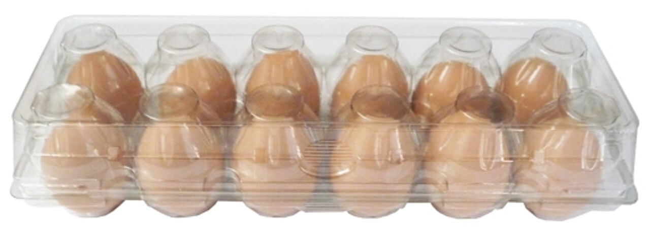 Basicwise Clear Plastic Egg Carton, 12 Egg Holder Carrying Case