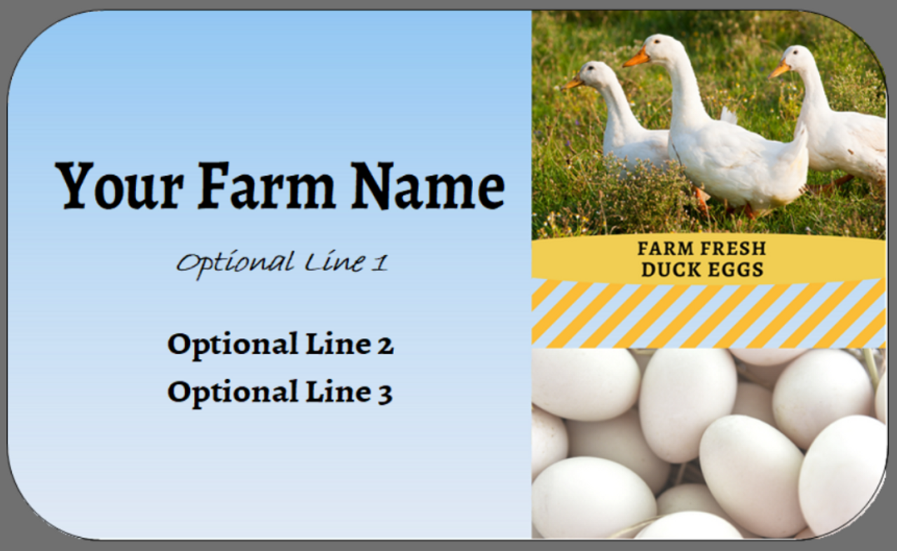 Ducks & Eggs - Medium Custom Egg Carton Label