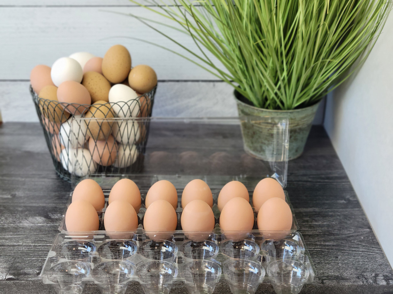 10-teal, Brown or Gray Split Egg Cartons, Cartons Hold 12 Eggs or