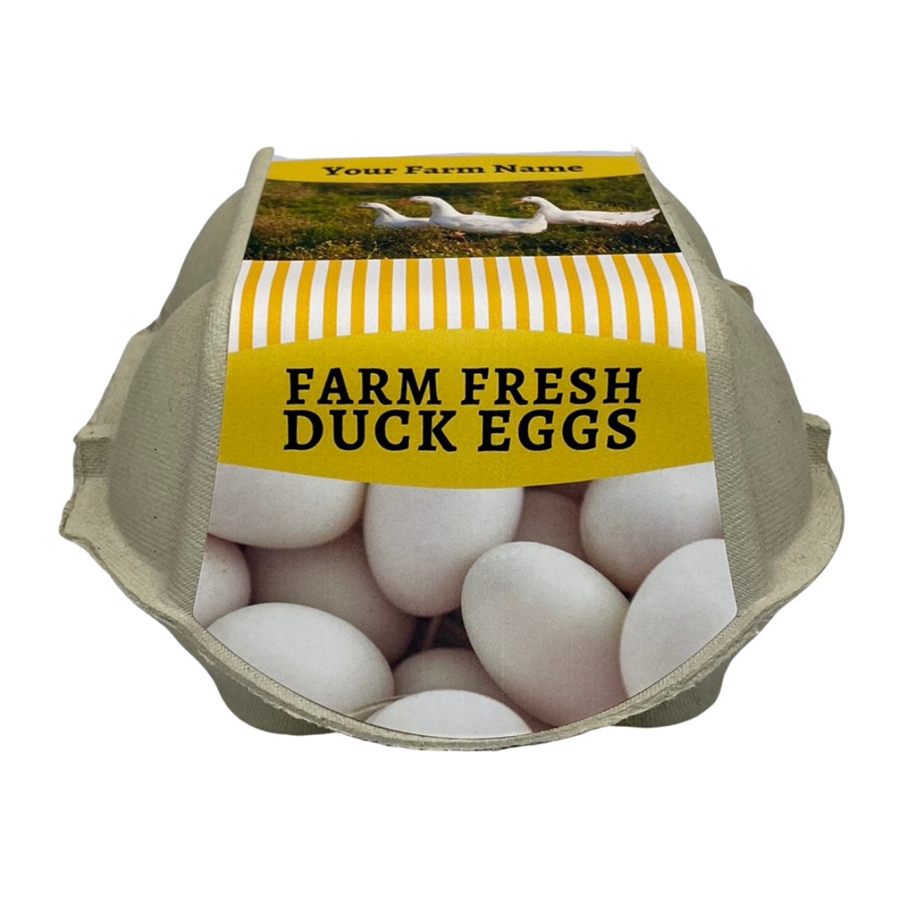 Duck Egg Cartons