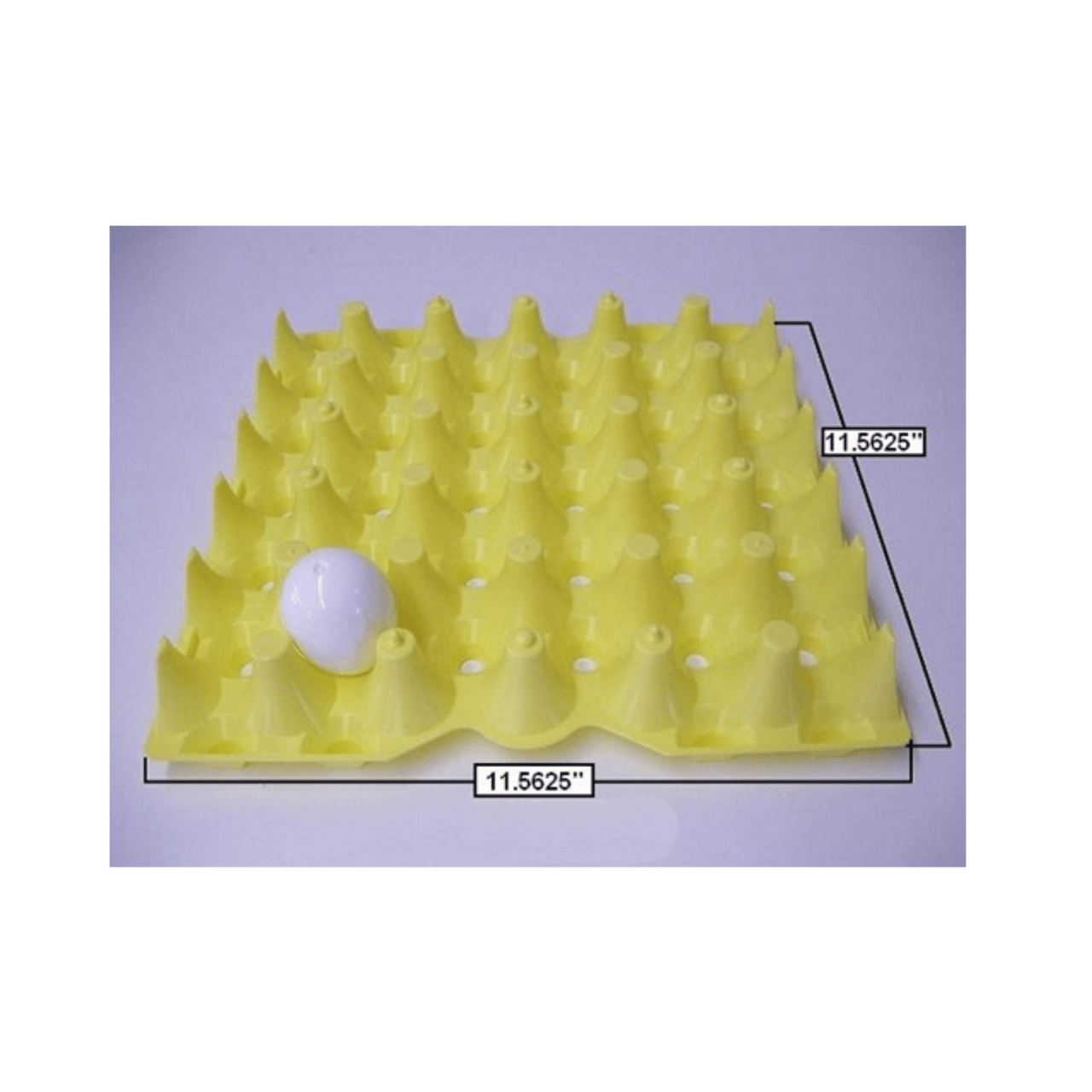 30-Egg Plastic Egg Tray in Green - Packs of 10 or 50