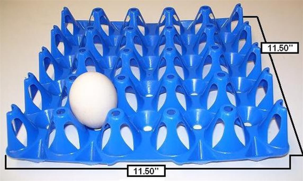 20 Jumbo Egg Plastic Egg Tray by Mann Lake
