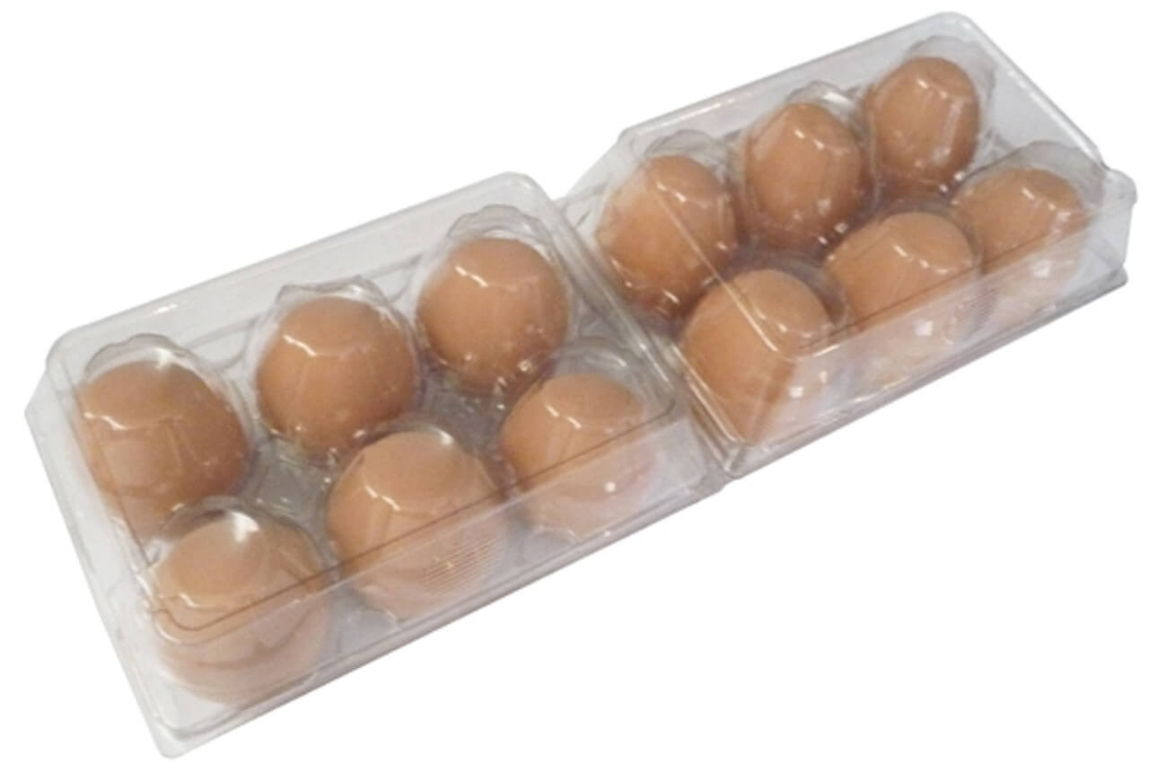  FVIEXE 100PCS Egg Cartons Cheap Bulk, Clear Egg Carton for Half  Dozen Chicken Eggs (6 Eggs), Plastic Egg Carton Bulk Egg Storage Containers  Holder Egg Tray for Family Pasture Farm Market