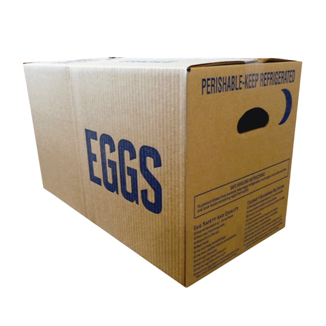 Blue 12-Egg Blank Styrofoam Carton