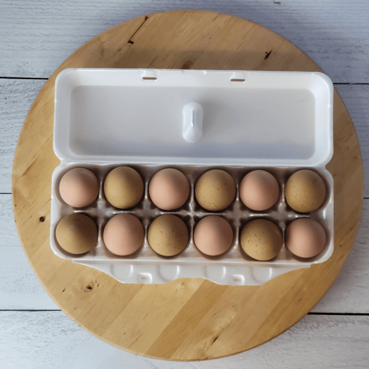 Vintage Egg Cartons, 12-Egg Blank –