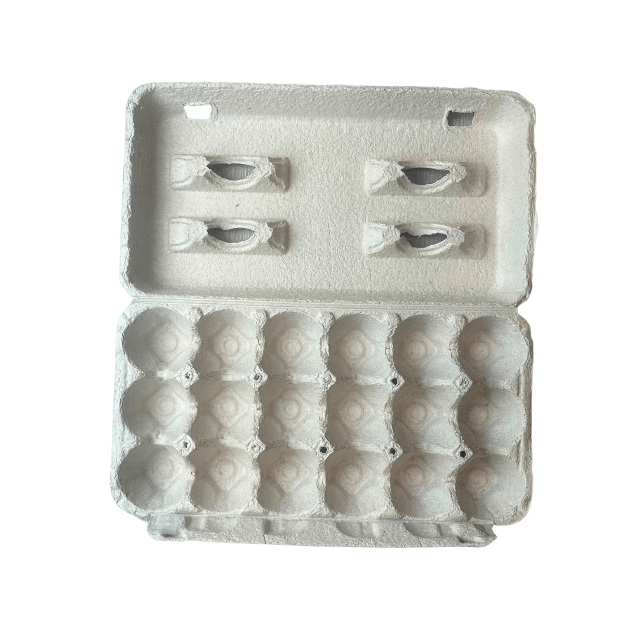 Blank 18-Egg Paper-Pulp Carton