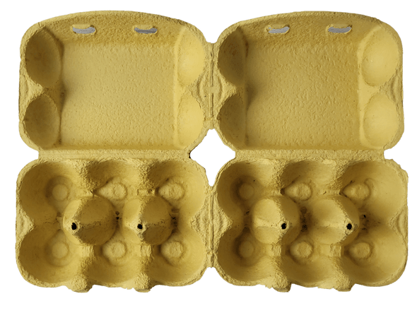 Yellow iMagic2 Max 6-Egg Super Jumbo Egg Carton - Inside View