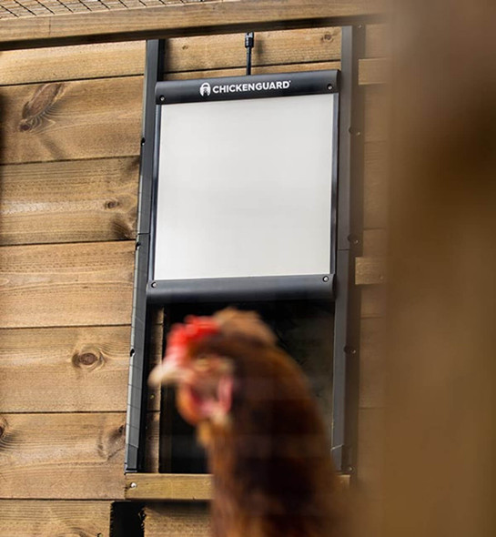 Poultry Care Automatic Coop Doors The Egg Carton Store