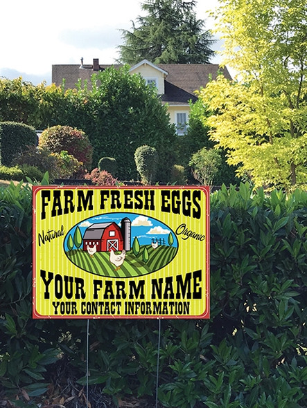 Yard Sign planted in grass that says Farm Fresh Eggs, Yellow Stripe