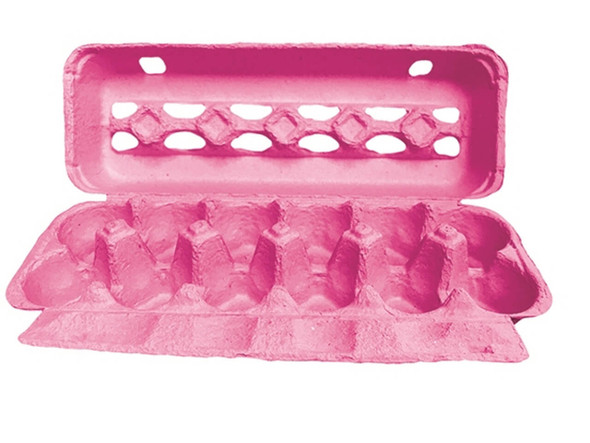 open blank view style pink 12 egg carton with holes in the top and chicken egg cells
