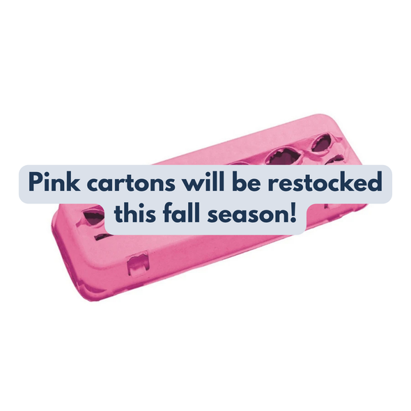 Pink Tint 12-Egg View Style Paper-Pulp Colored Carton