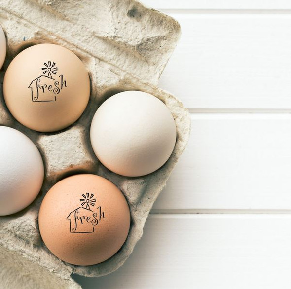 farm fresh egg stamp on brown eggs in carton