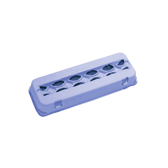 Blue tinted 12-egg carton for chicken eggs