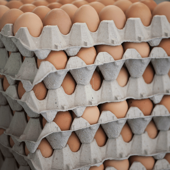 stacked 30 egg filler flats