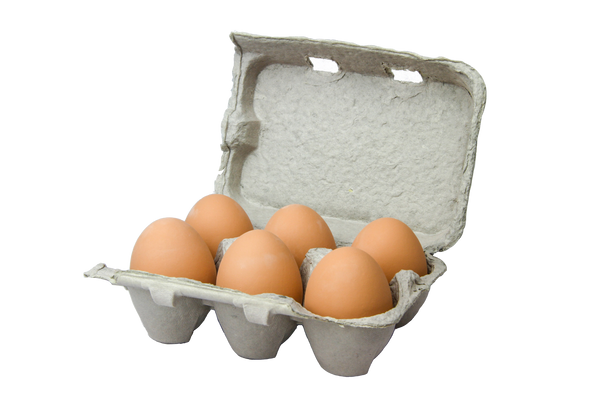 Refills for wire nest Set of 6 Solid Bird Seed Eggs in Paper Carton 