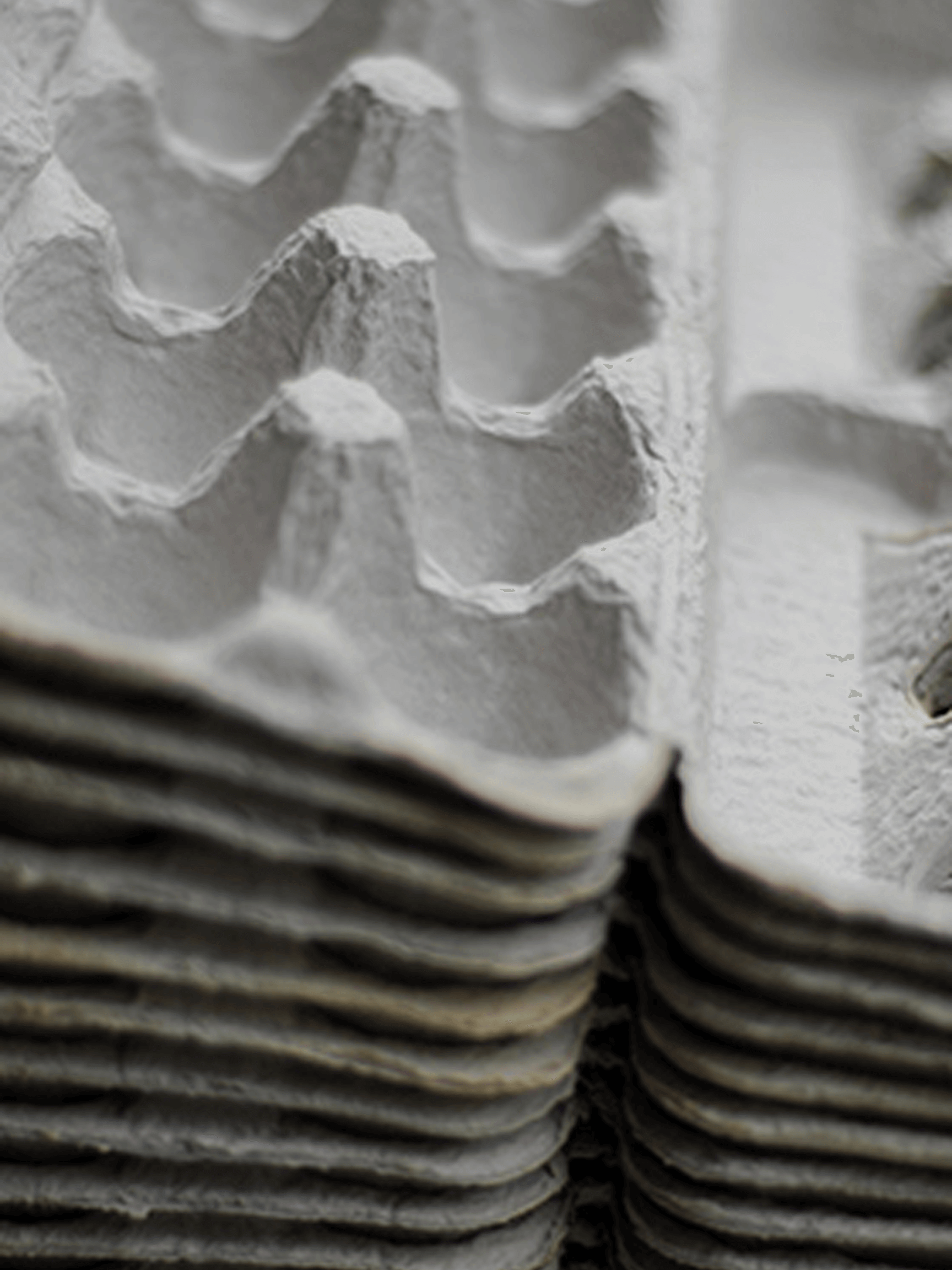 Wholesale Egg Carton The Egg Carton Store