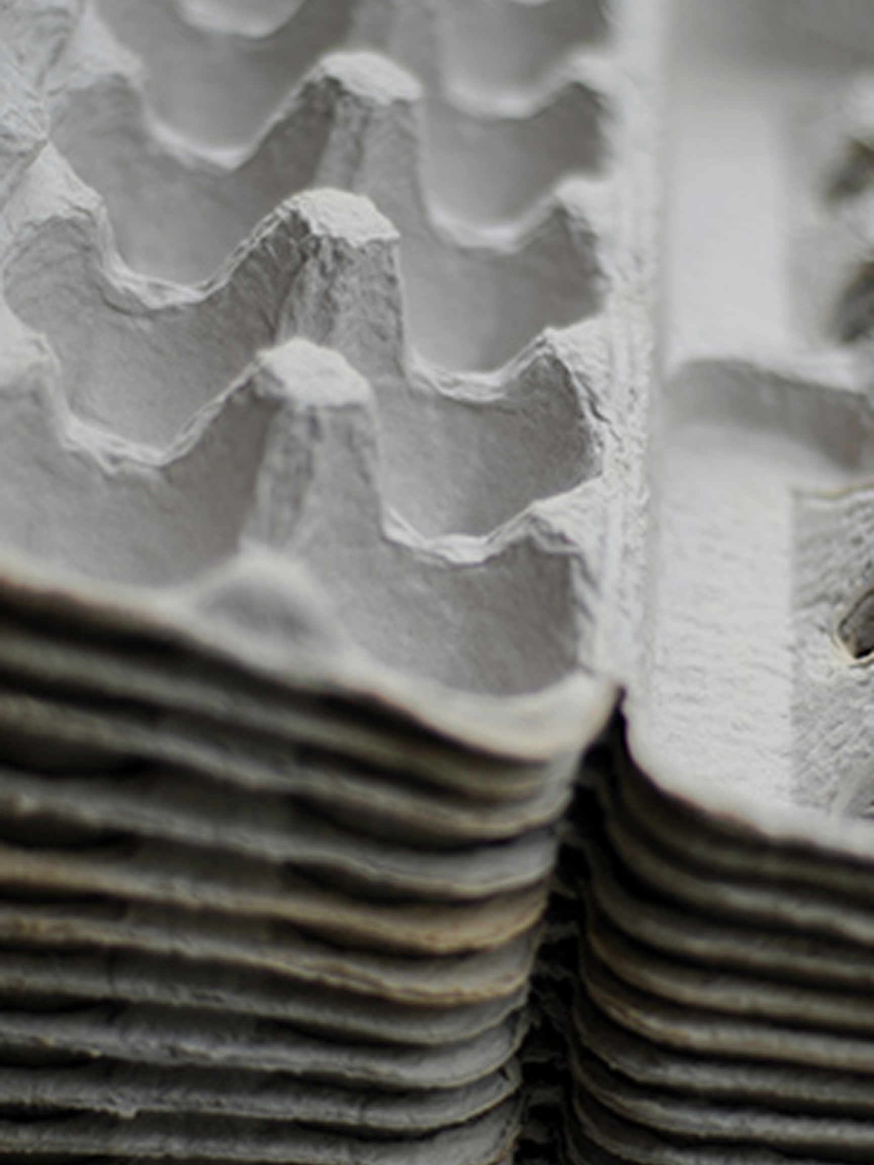 Wholesale Egg Carton The Egg Carton Store