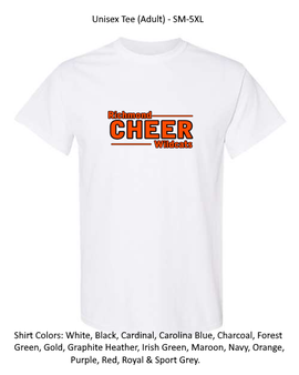 Custom Cheer team
