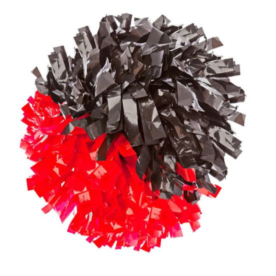 Closeout 6" Half & Half Wet Look Pom