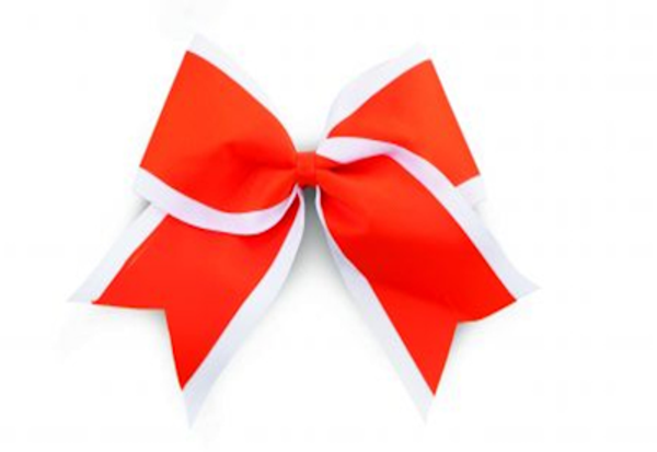 Cheer Fantastic 2-Color Basic Bow #00787